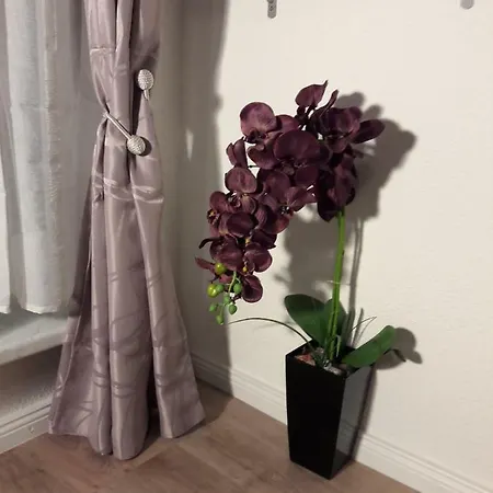 Lange Str. 15 - Apartment Prerow