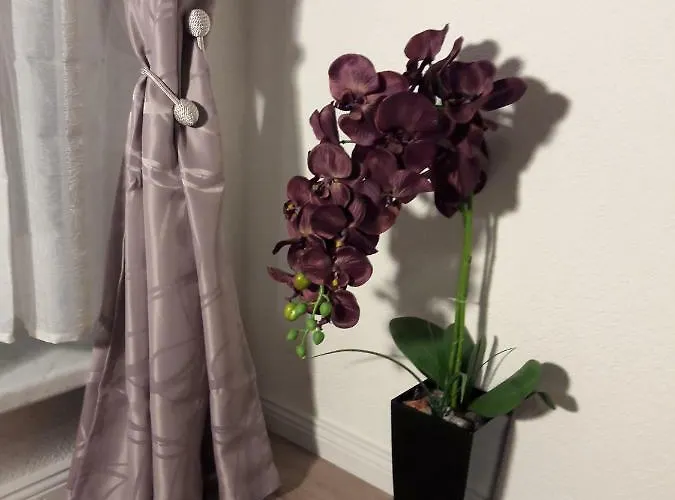 Lange Str. 15 - Appartement Prerow