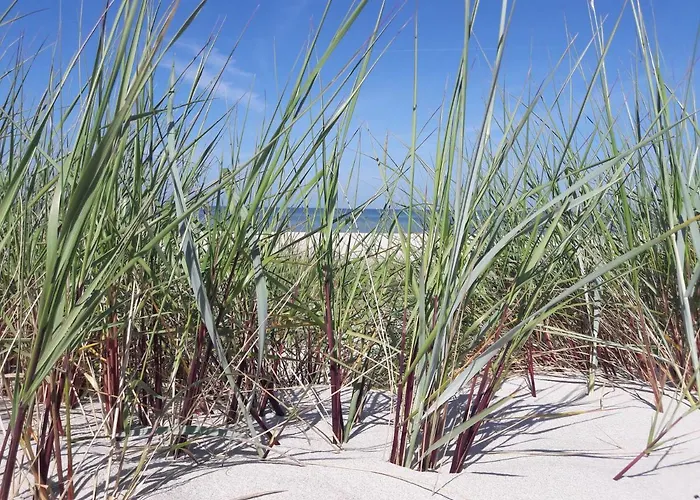 Appartement Lange Str. 15 -